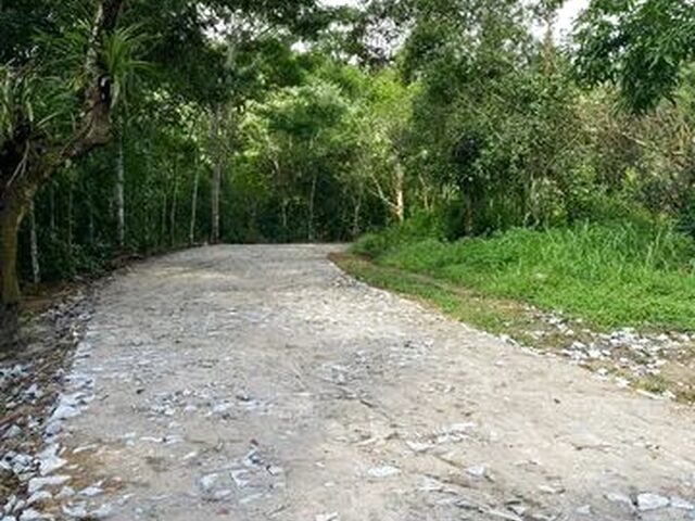 Imagem 11: Lotes na Serra a 2Km do Centro do Pacoti e 07 de Guaramiranga Vem para Esse Paraiso Muito