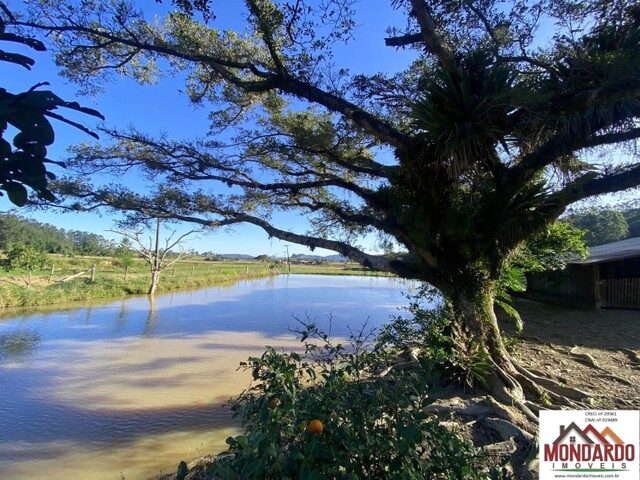 Imagem 9: Vende - Se Sítio de 7 Hectares - Meleiro