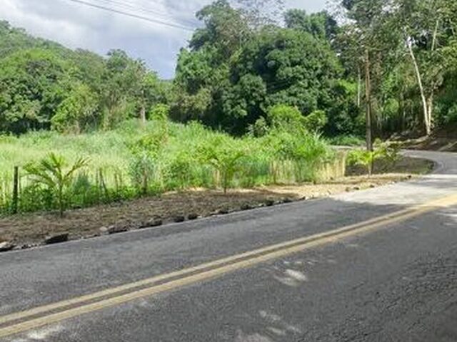 Imagem 16: Lotes na Serra a 2Km do Centro do Pacoti e 07 de Guaramiranga Vem para Esse Paraiso Muito