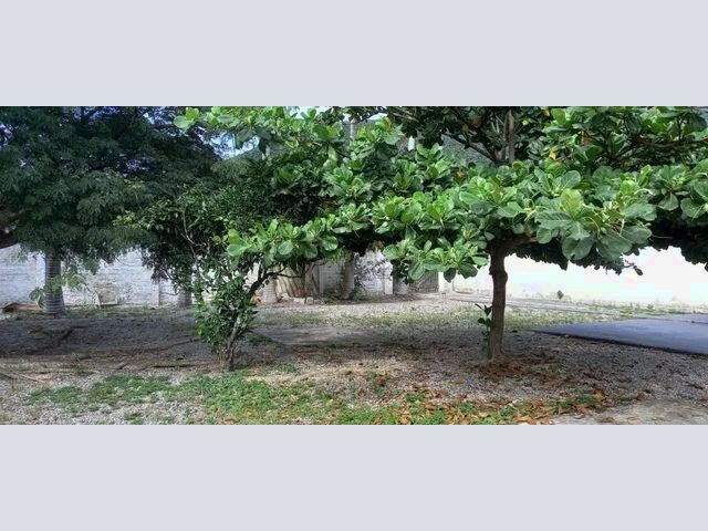 Imagem 15: Ótima Casa em Palhoça na Praia de Fora