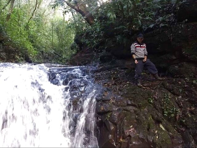 Imagem 6: Vendo Sítio em São Francisco de Paula