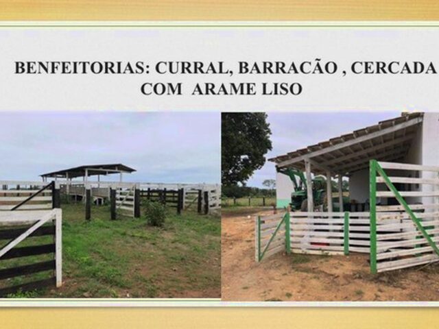Imagem 6: Fazenda Dupla Aptidão Gurupi - To