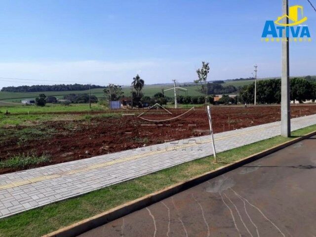 Imagem: Nova Concórdia - Lote/Terreno - Nova Concórdia
