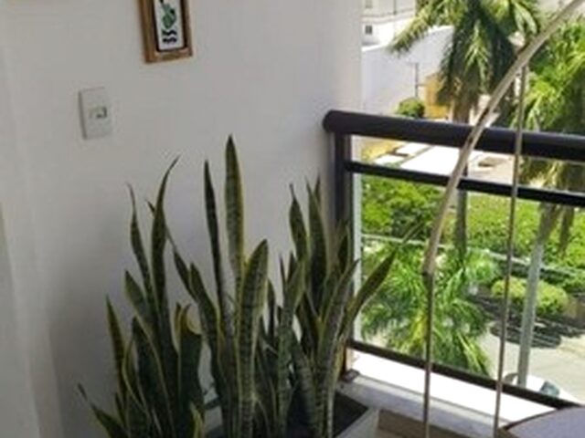 Imagem 14: Cobertura Duplex 2 Quartos com Suíte no Centro