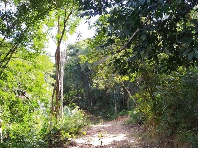 Imagem 10: 67 Alqueires em Cavalcante Goiás