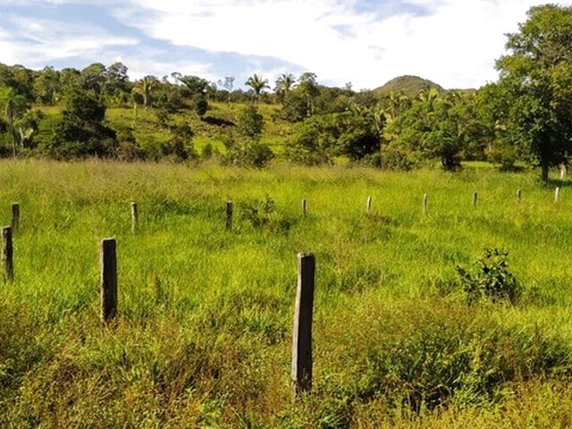 Imagem 6: 67 Alqueires em Cavalcante Goiás