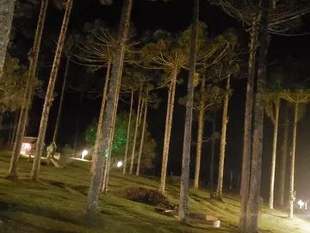 Imagem 9: Chacara em Condomínio Campo Alegre