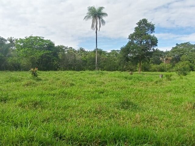 Imagem 2: 67 Alqueires em Cavalcante Goiás