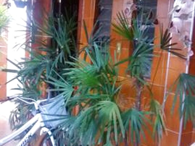 Imagem: A casa possui 3 Dormitórios, 1 Banheiro, 2 Vagas na