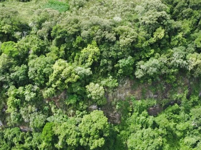Imagem 12: Sítio / Chácara para Venda em Nova Petrópolis, Feliz Lembrança, 2 Dormitórios, 1
