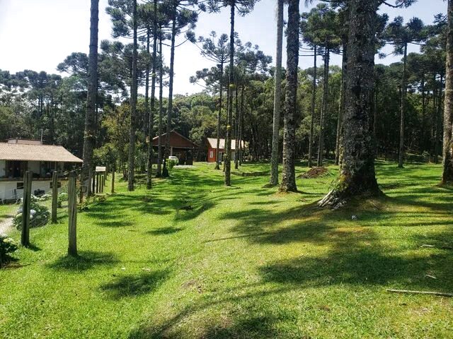 Imagem 1: Chacara em Condomínio Campo Alegre