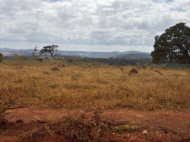 Imagem 4: Venda - Fazendas - - Santa Luzia - MG