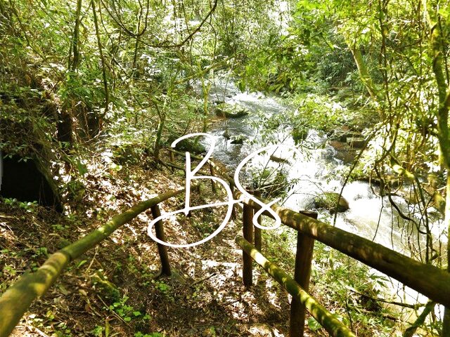 Imagem 11: SITIO RURAL em GRAMADO - RS, Vale do Quilombo