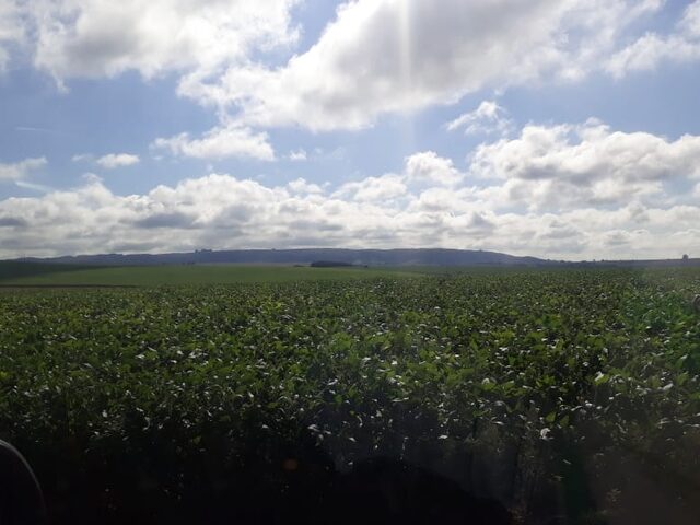 Imagem 15: FAZENDA RURAL em IBIÁ - MG, Ibiá