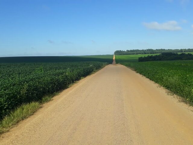 Imagem 11: FAZENDA RURAL em IBIÁ - MG, Ibiá