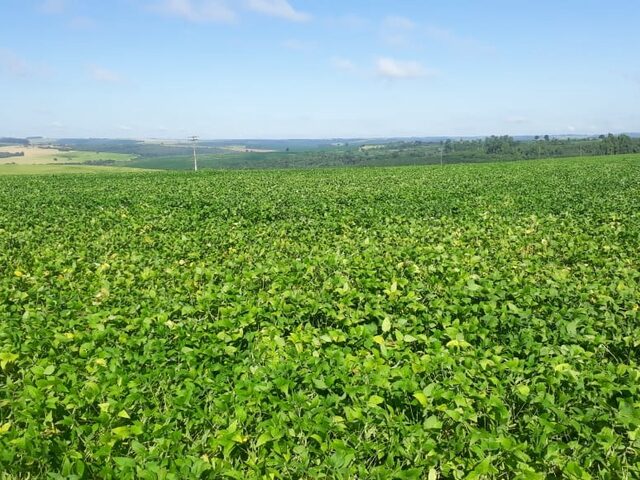 Imagem 10: FAZENDA RURAL em IBIÁ - MG, Ibiá