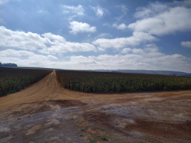 Imagem 2: FAZENDA RURAL em IBIÁ - MG, Ibiá