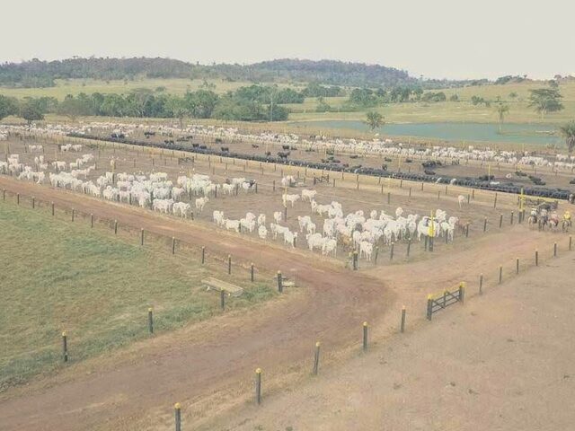 Imagem 16: FAZENDA RURAL em IBIÁ - MG, Ibiá