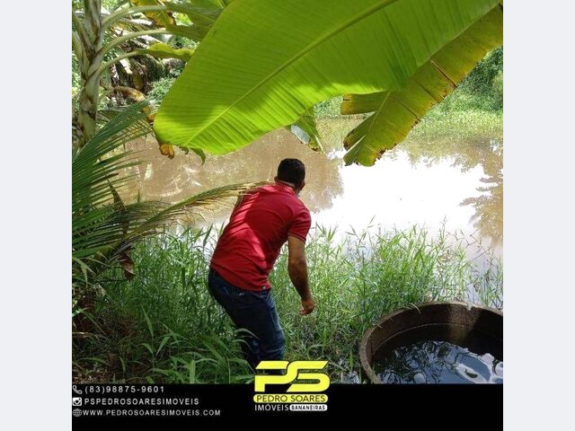 Imagem 3: Chácara com 1 dormitório à venda, 20000 m² por r$ 550.000,00 - bananeiras