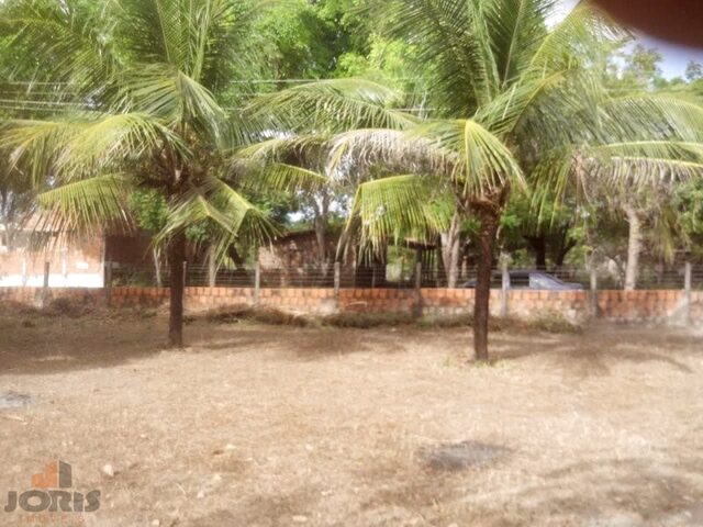Imagem: Sítio a Venda no bairro Tabuba - Caucaia