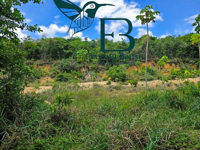Imagem 3: TERRENO RURAL em ILHA DE ITAMARACÁ - PE, Praia de Sossego