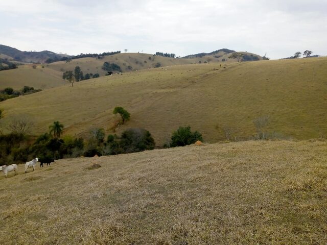 Imagem: Sitio à venda em Cambuí-MG, bairro Zona