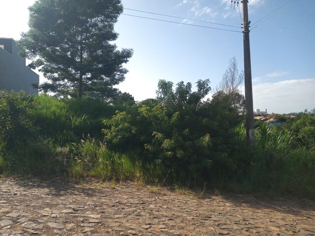 Imagem 7: Terreno de 643,00 M² com mais de 17,00 metros de fachada a venda em Sapiranga Bairro