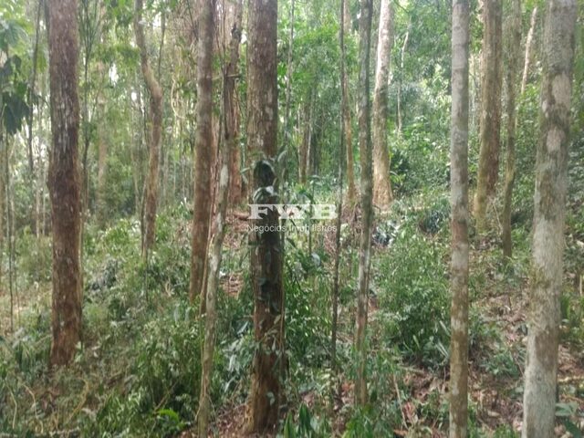 Imagem 9: 150 MIL M², 3 KM DO CENTRO E AO LADO DO COUNTRY CLUB. TERRENO TODO LEGALIZADO E COM